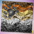 Bear Pride Waves Bandana